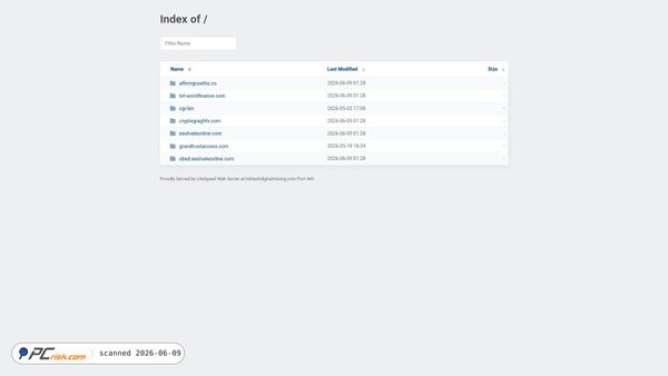 bithashdigitalmining.com screenshot