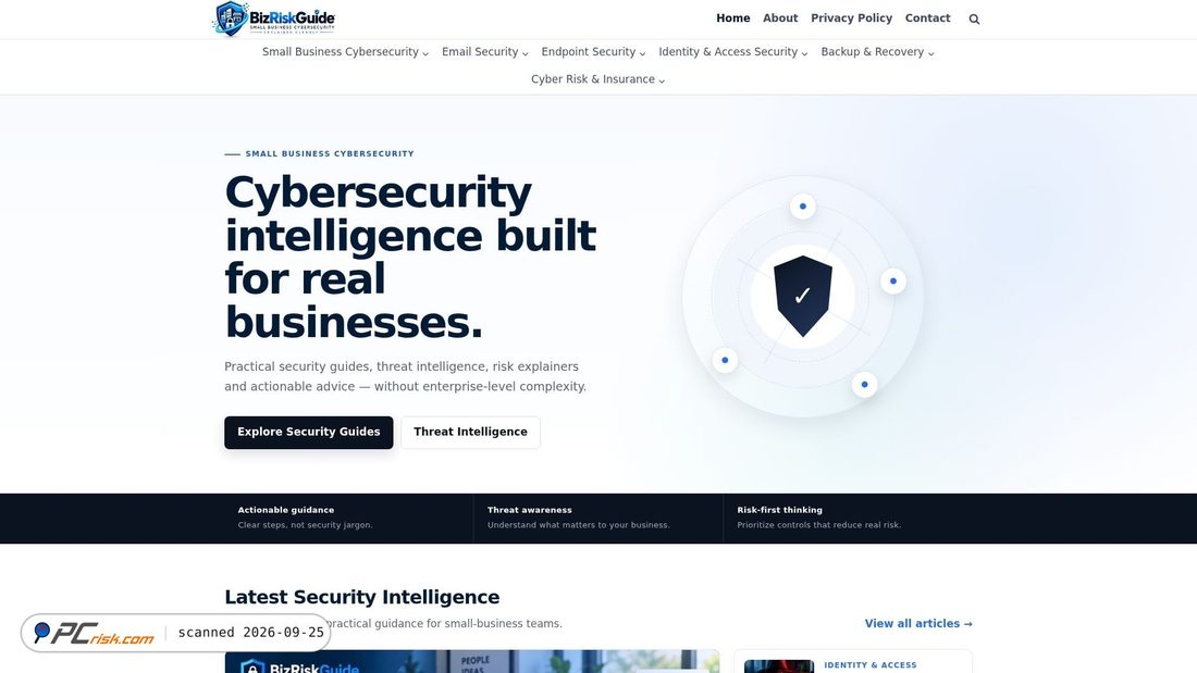 Captura de ecrã de bizriskguide.com
