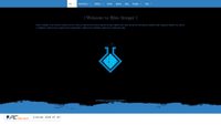 blueinteger.eu screenshot