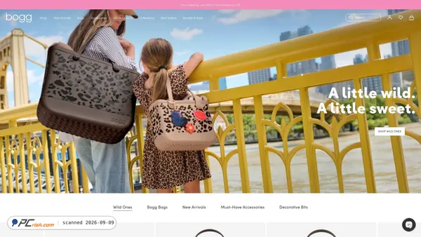 Captura de boggbag.com