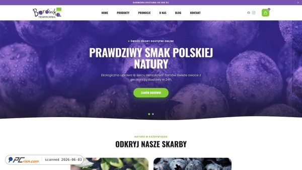 borowkahenrykowska.pl screenshot