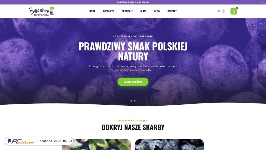 Screenshot von borowkahenrykowska.pl