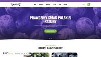 borowkahenrykowska.pl screenshot
