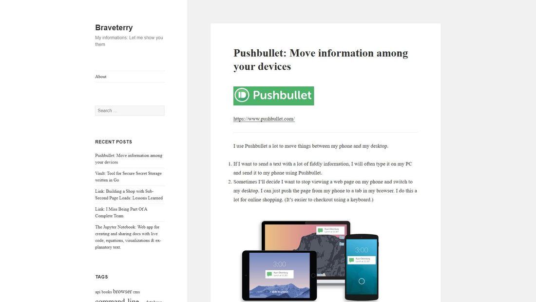 Screenshot von braveterry.com