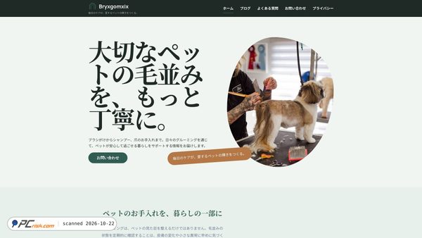 bryxgomxix.pro screenshot