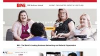 business-ni.com screenshot