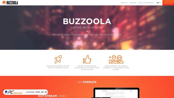 buzzoola.com screenshot
