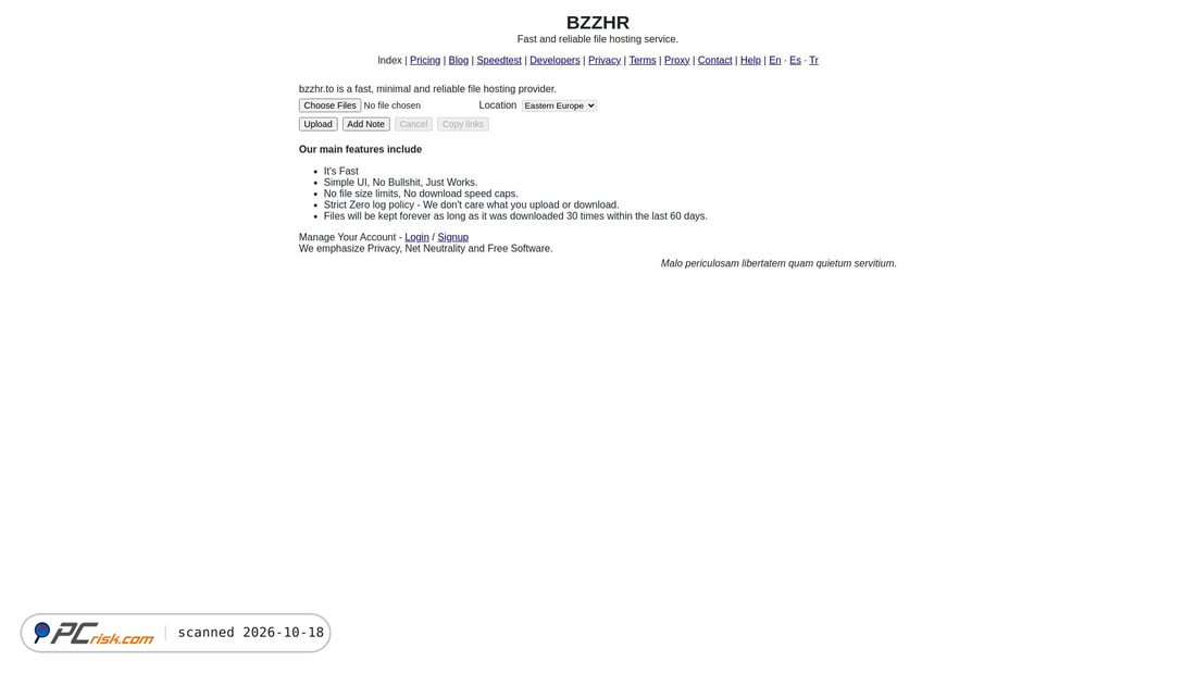 Zrzut ekranu bzzhr.to