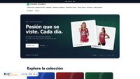 camisetastouchdown.com screenshot