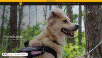 caredogbest.com screenshot