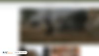 carlrussellandco.com screenshot