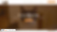 catcafesd.com screenshot