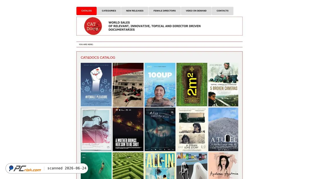 Screenshot of catndocs.com