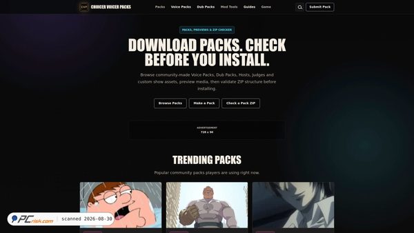 choicervoicer.com Screenshot