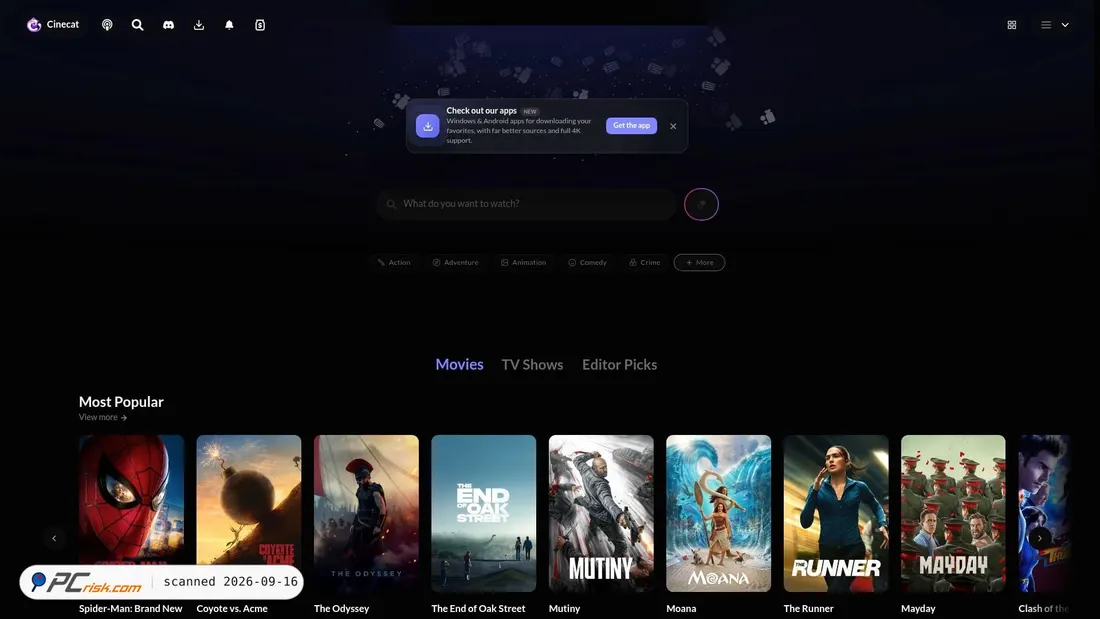 Screenshot von cinecat.eu
