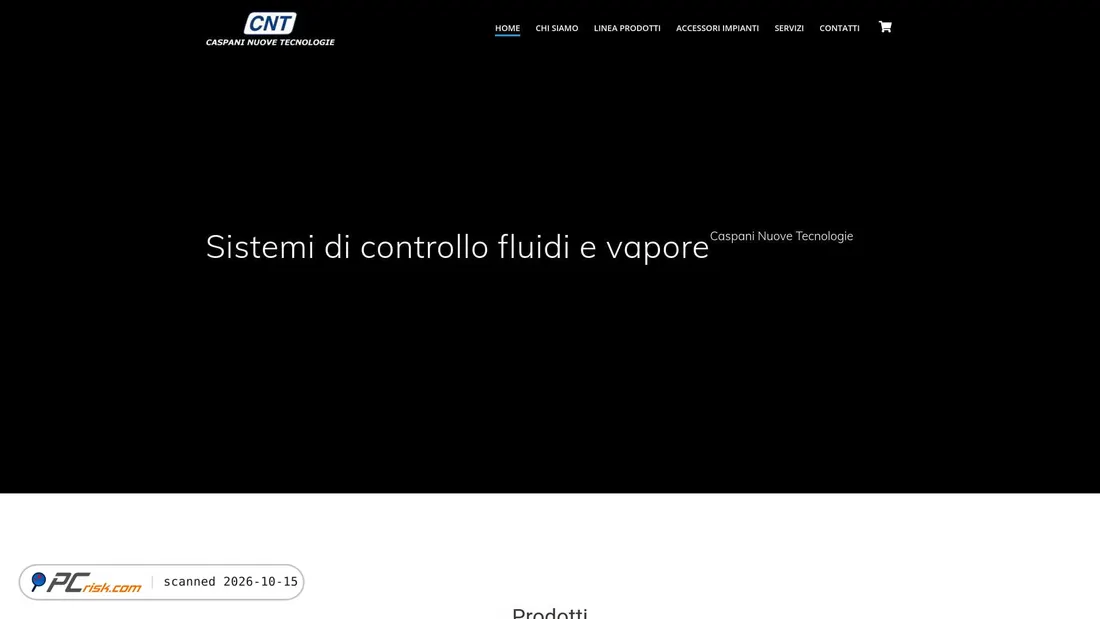 Captura de ecrã de cntcaspani.com