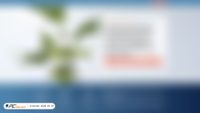conceptionnurseries.com screenshot