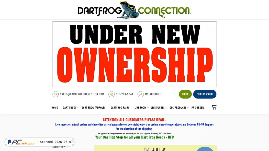 Screenshot of dartfrogconnection.com