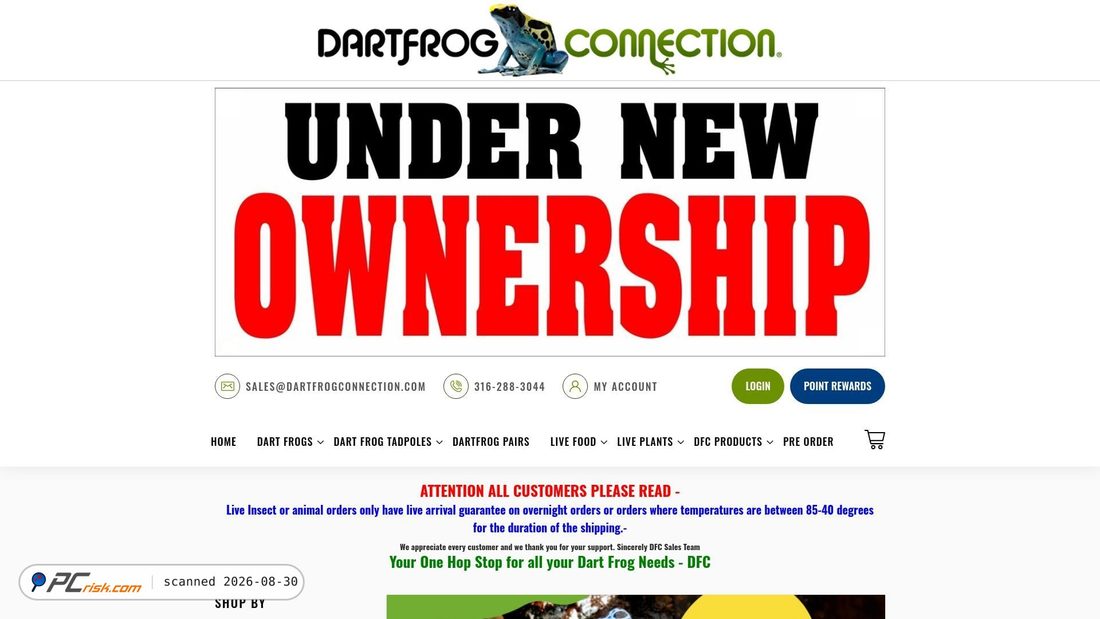 Screenshot von dartfrogconnection.com