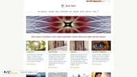 deinsein.com screenshot