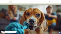 demia.pl screenshot