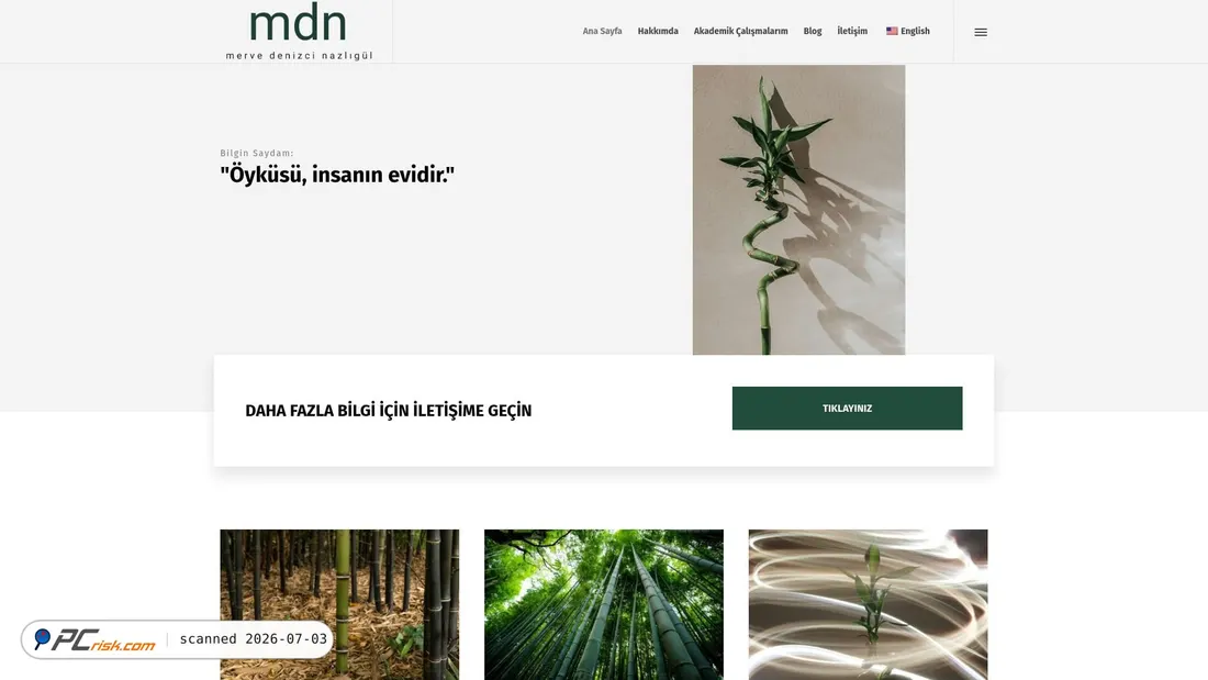 Screenshot of denizcimerve.com