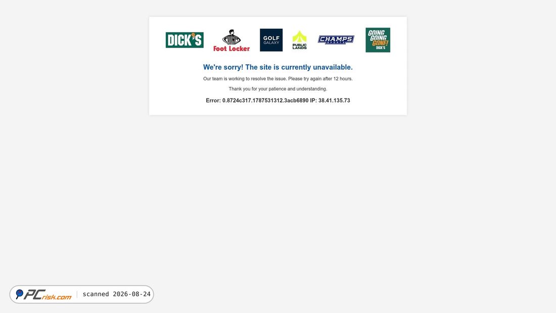 Screenshot of dicks.com