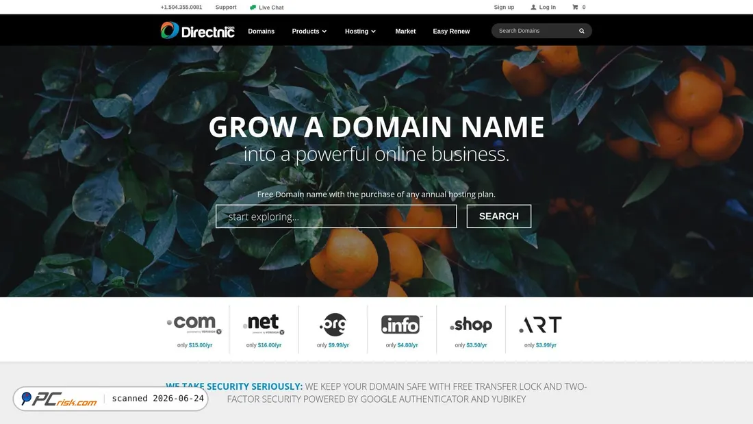Screenshot of directnic.com