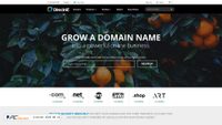 directnic.com screenshot