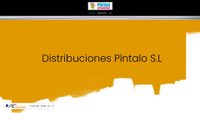 distribucionespintalo.com Screenshot