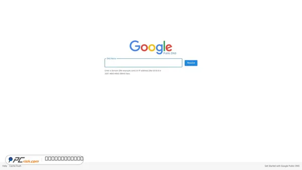 dns.google screenshot