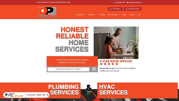 dpservicesfl.com screenshot