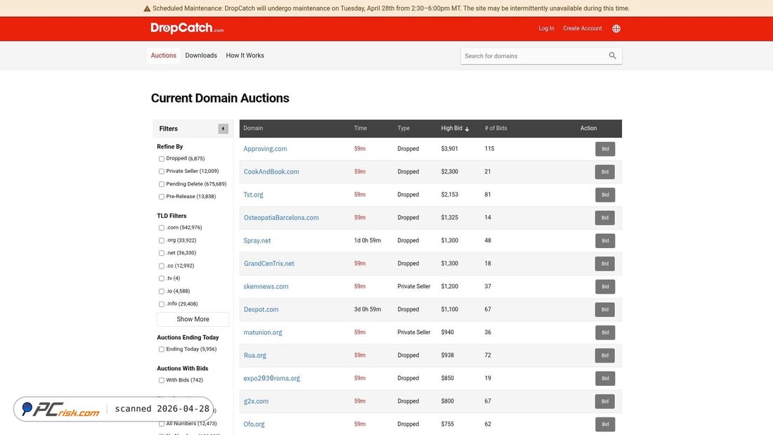 Screenshot von dropcatch.com