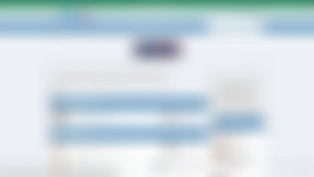 Screenshot von dropmms.net