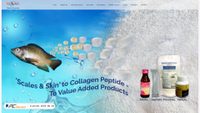 dryfishscales.com screenshot