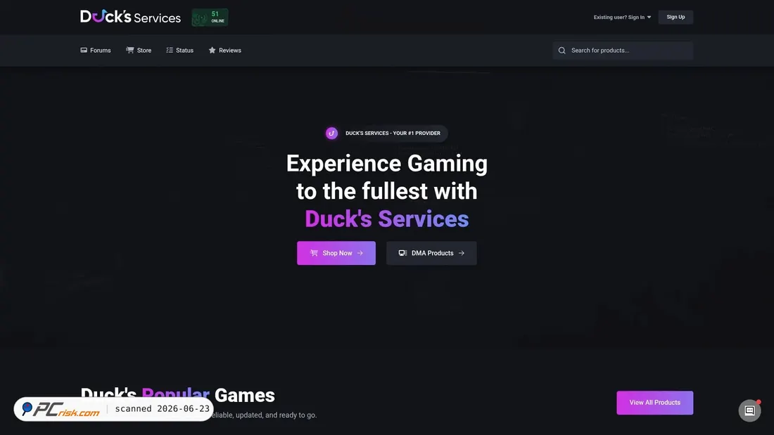 Screenshot of ducks-services.com