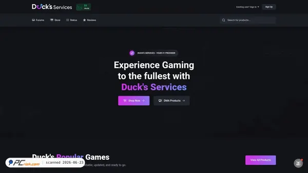 ducks-services.com screenshot