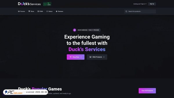 ducks-services.com screenshot
