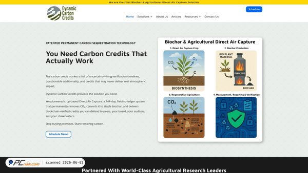 dynamiccarboncredits.com screenshot