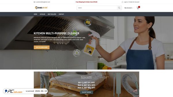 eaglever.com screenshot