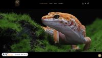 egzosystems.pl screenshot