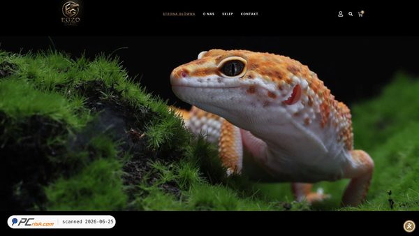 egzosystems.pl screenshot