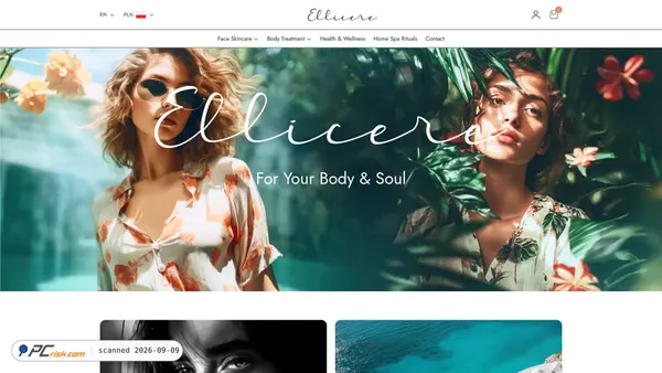 ellicere.com Screenshot