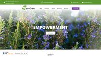 evolibri.com screenshot
