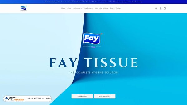 Captura de fay.com.pk