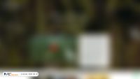 feathercrown.com screenshot
