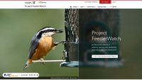 feederwatch.org screenshot