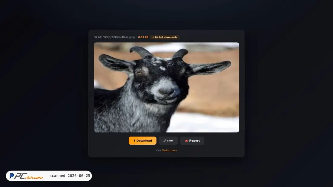 Screenshot of fileditchfiles.me