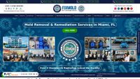 fixmold.com screenshot