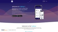 flybagz.com screenshot